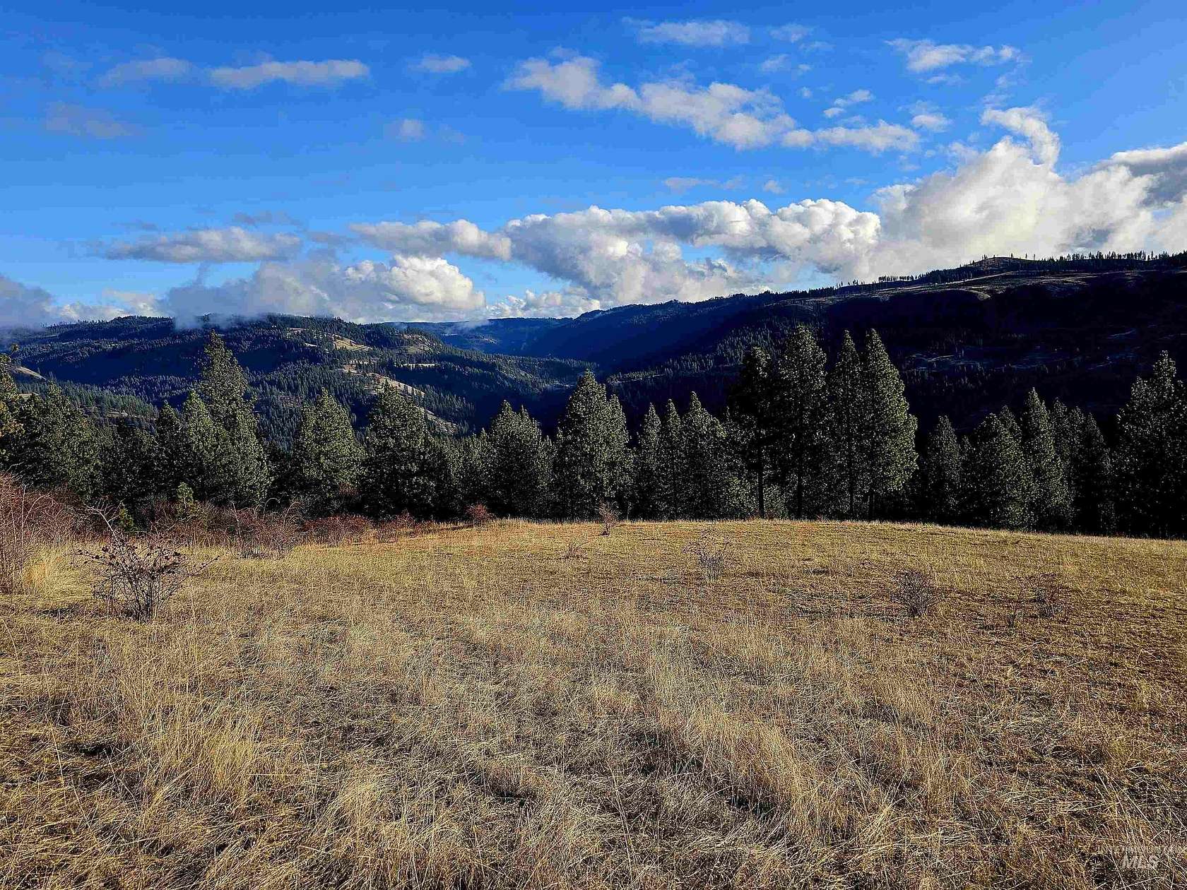 6.91 Acres of Land for Sale in Orofino, Idaho