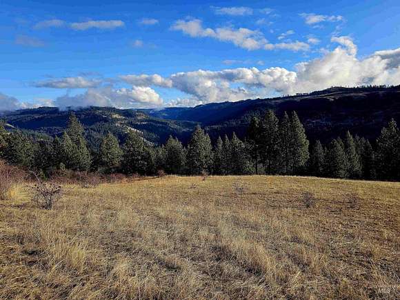 6.91 Acres of Land for Sale in Orofino, Idaho