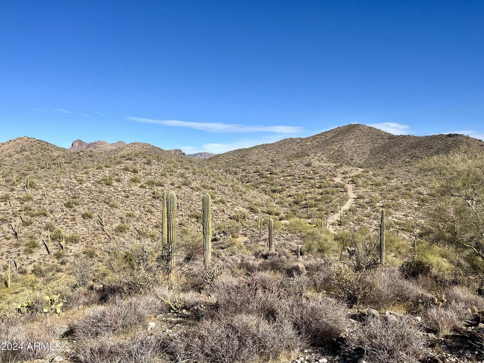 20 Acres of Recreational Land for Sale in Queen Valley, Arizona