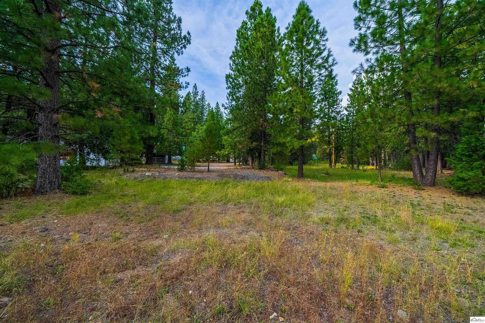 0.16 Acres of Residential Land for Sale in Mineral, California