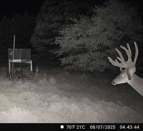 1,700 Acres of Land with Home for Sale in Whitesboro, Oklahoma