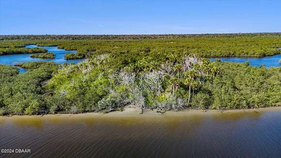 29 Acres of Recreational Land for Sale in Flagler Beach, Florida