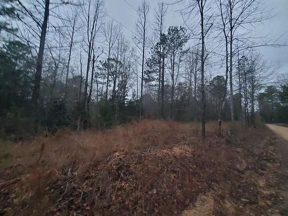 1.1 Acres of Land for Sale in Valley, Alabama