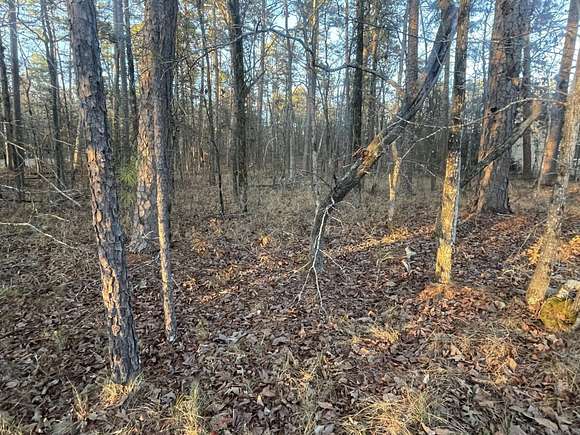 0.28 Acres of Residential Land for Sale in Hot Springs Village, Arkansas