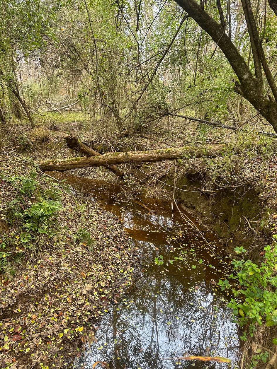 8.5 Acres of Residential Land for Sale in Smithdale, Mississippi