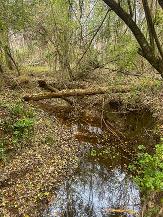 8.5 Acres of Residential Land for Sale in Smithdale, Mississippi