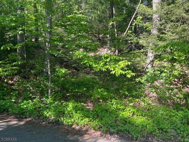 1 Acre of Residential Land for Sale in West Milford Township, New Jersey