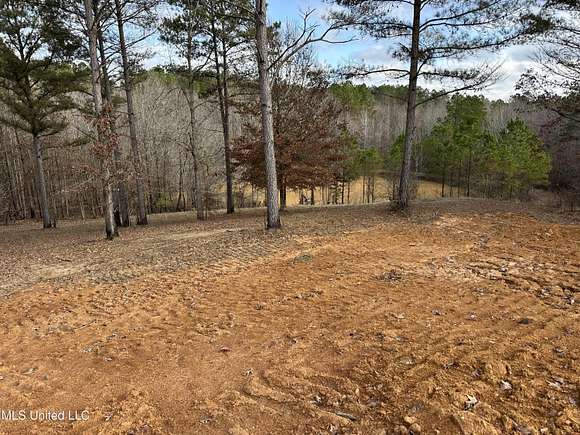 15.01 Acres of Land for Sale in Potts Camp, Mississippi