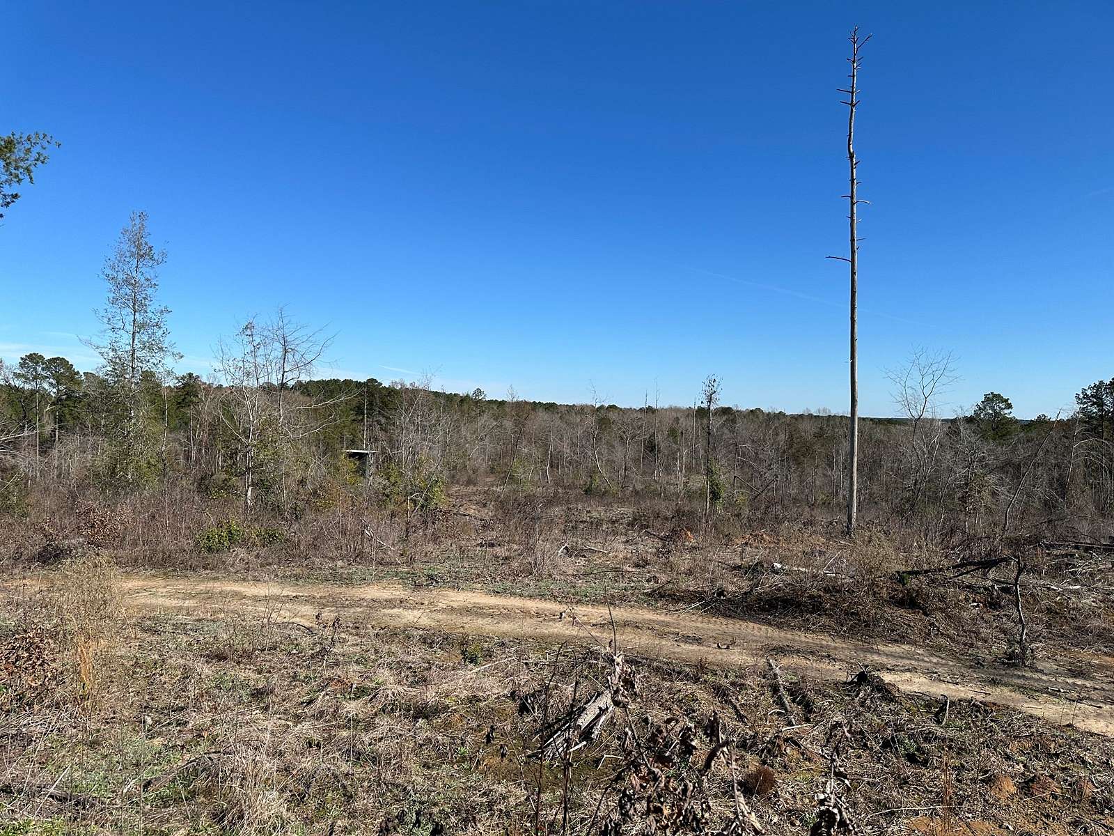 90.5 Acres of Land for Sale in Farmerville, Louisiana