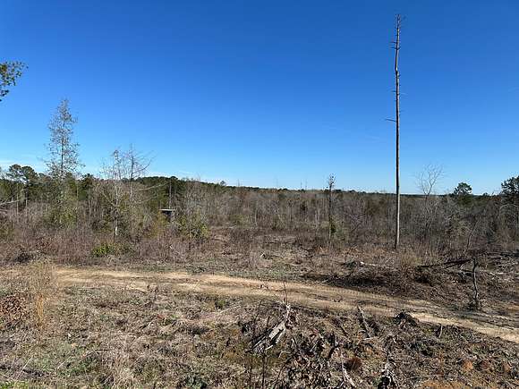 90.5 Acres of Land for Sale in Farmerville, Louisiana