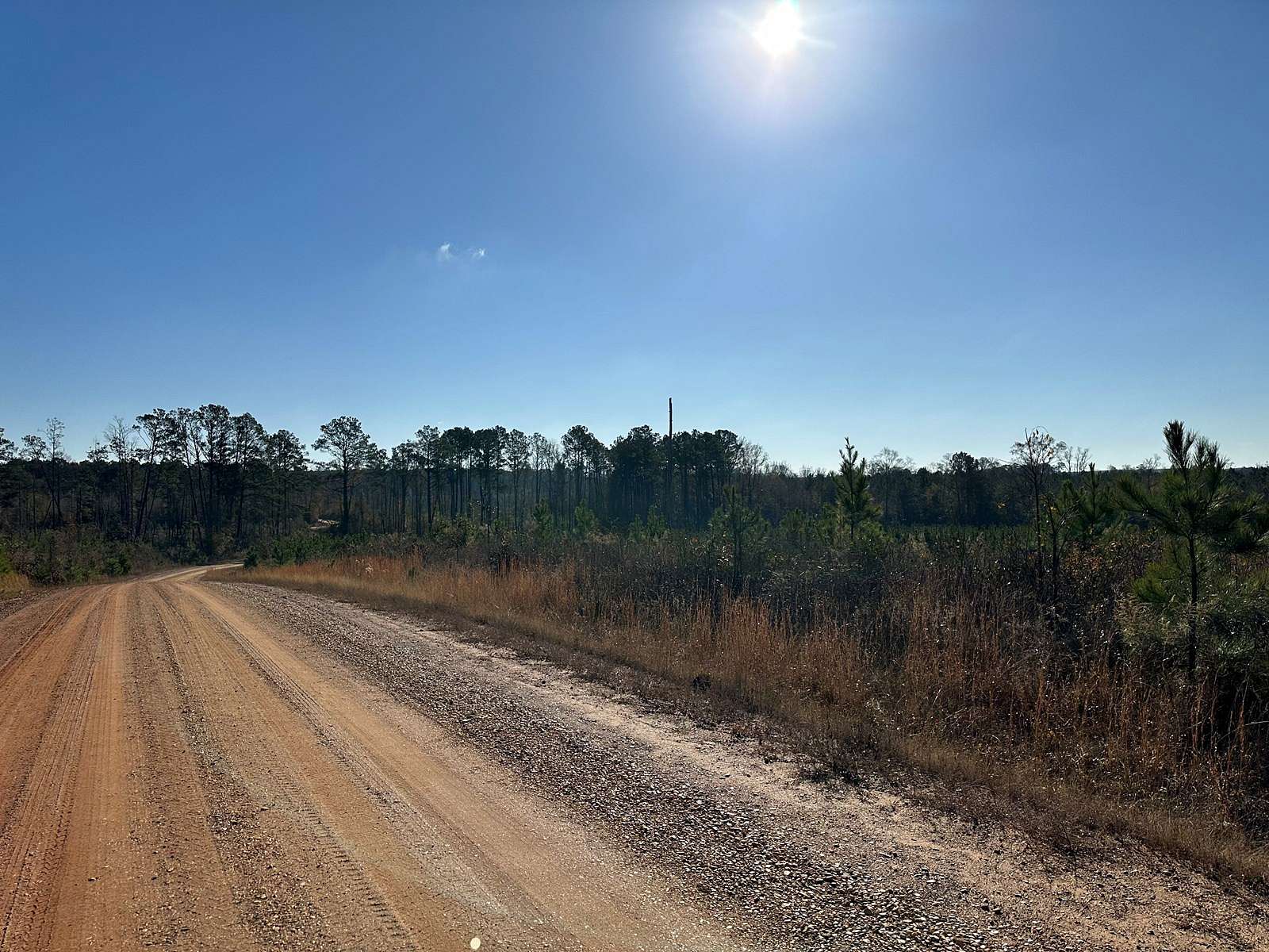 23.7 Acres of Land for Sale in Spearsville, Louisiana