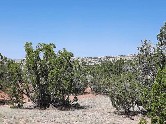 38.49 Acres of Recreational Land & Farm for Sale in Seligman, Arizona