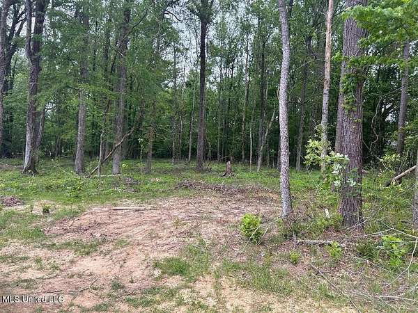 1.48 Acres of Residential Land for Sale in Ridgeland, Mississippi