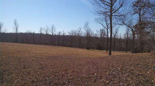 10 Acres of Agricultural Land for Sale in Rector, Arkansas