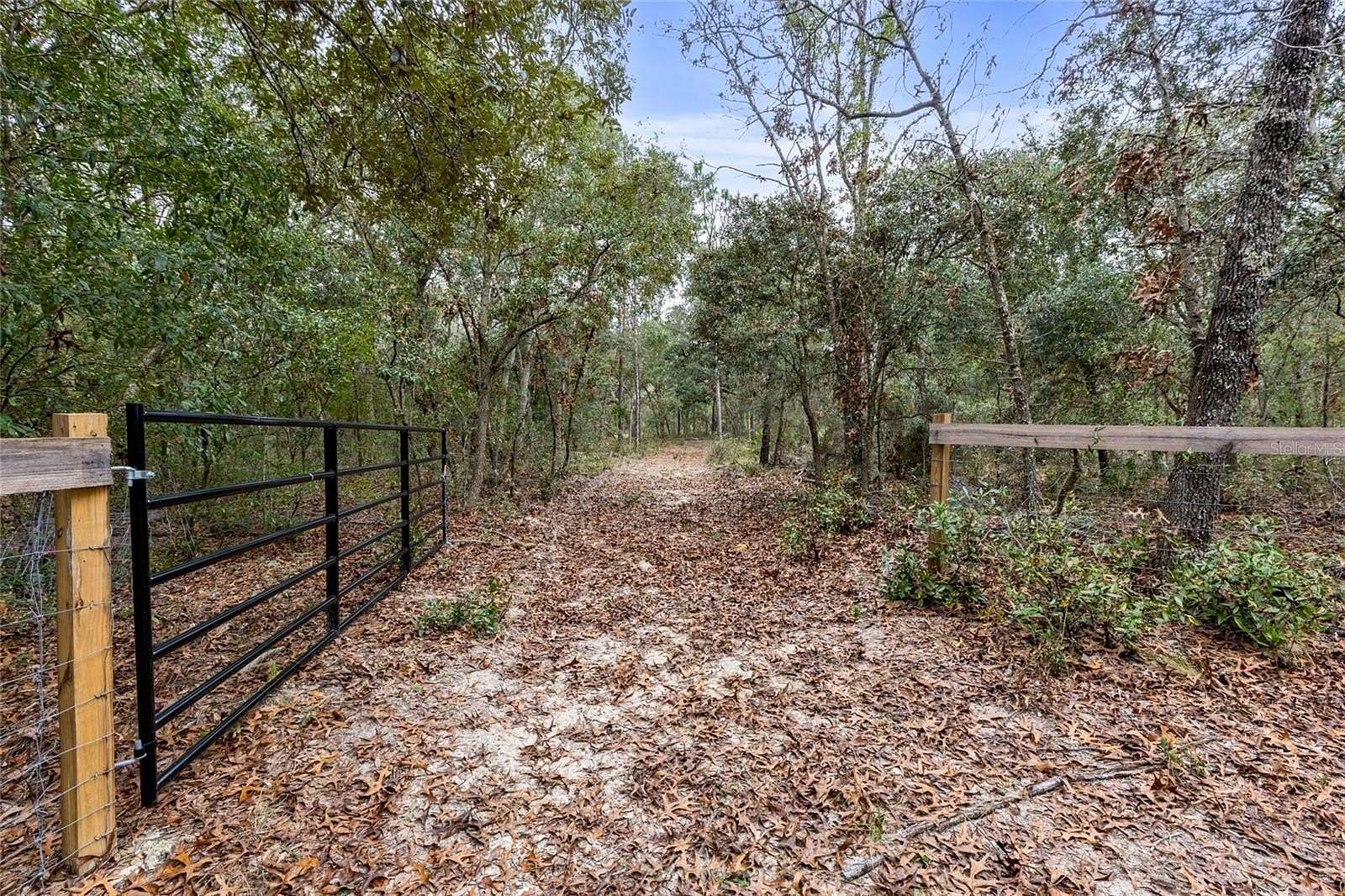 5 Acres of Land for Sale in Bronson, Florida