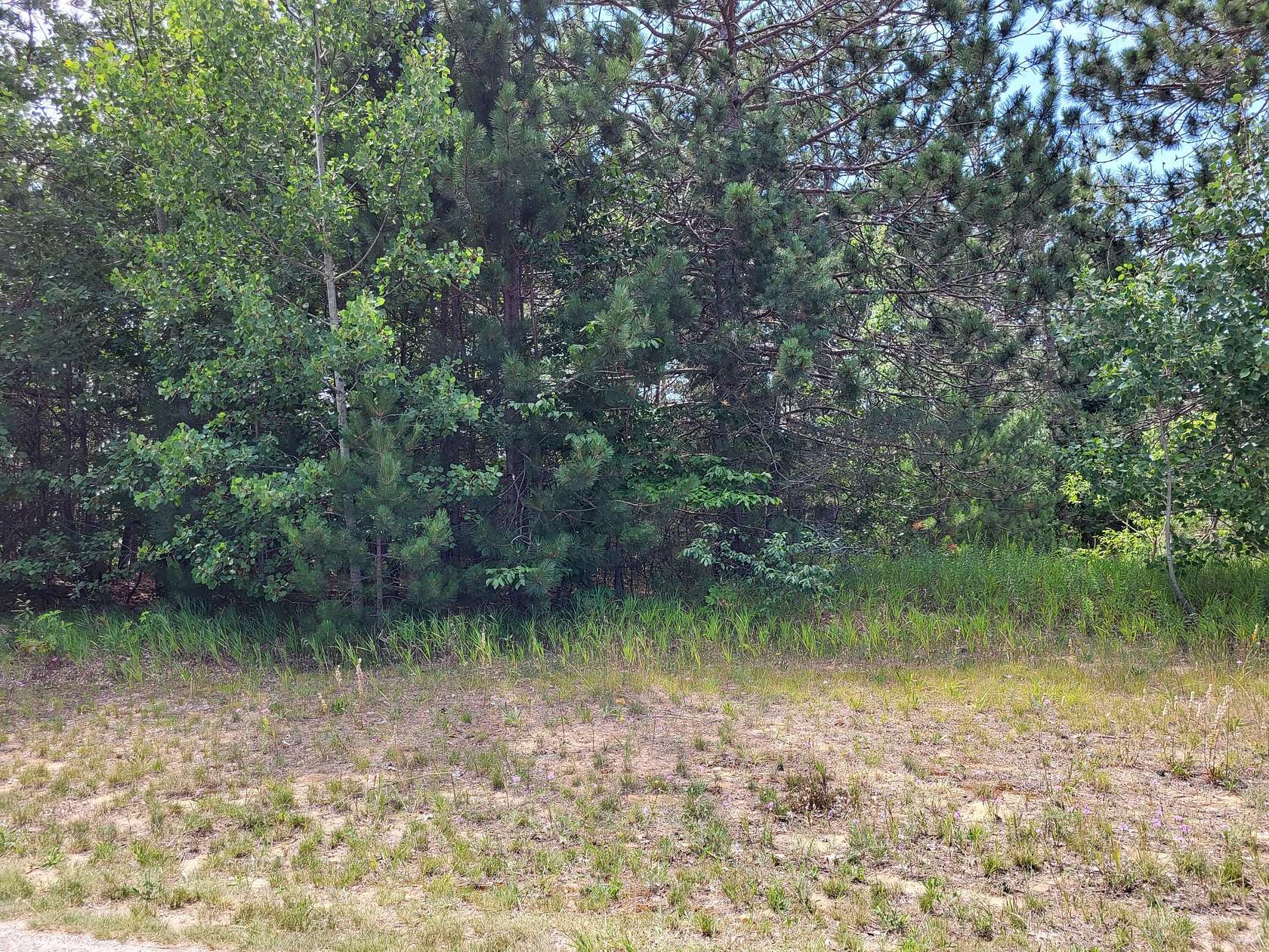 Residential Land for Sale in Vanderbilt, Michigan