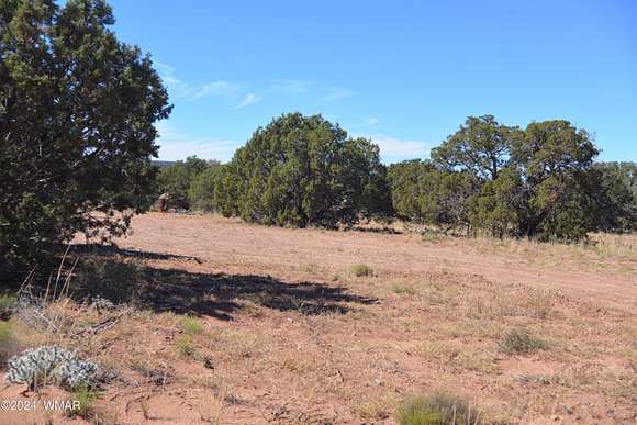 1.18 Acres of Land for Sale in Snowflake, Arizona