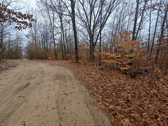 0.3 Acres of Residential Land for Sale in Grand Junction, Michigan