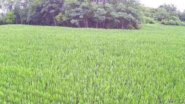 23.5 Acres of Land for Sale in Lebanon, Illinois