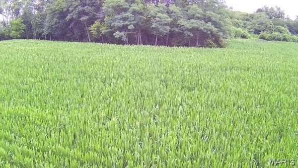 23.5 Acres of Land for Sale in Lebanon, Illinois