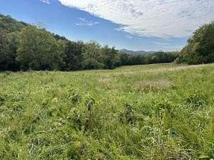 19.11 Acres of Recreational Land & Farm for Sale in Harrison, Arkansas