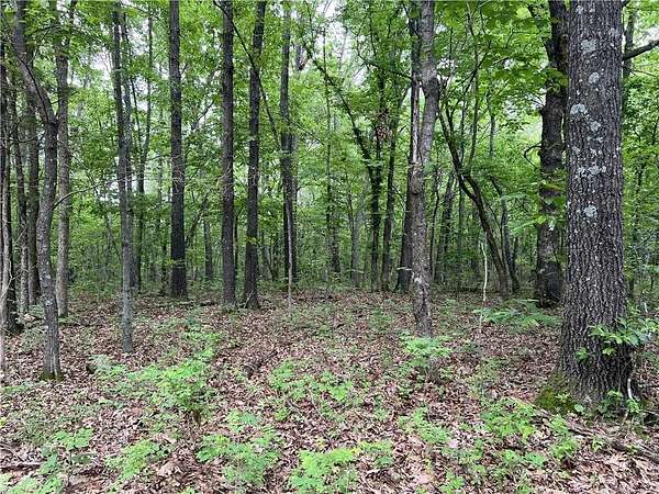12 Acres of Recreational Land for Sale in Harrison, Arkansas