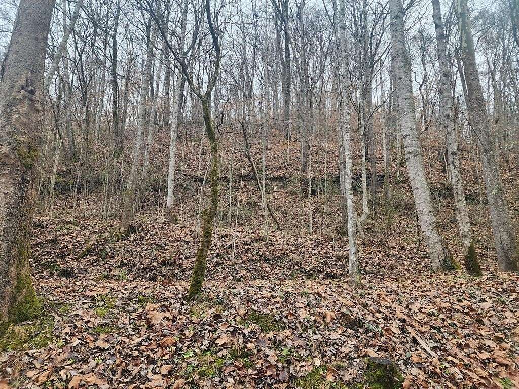 12 Acres of Land for Sale in Prestonsburg, Kentucky