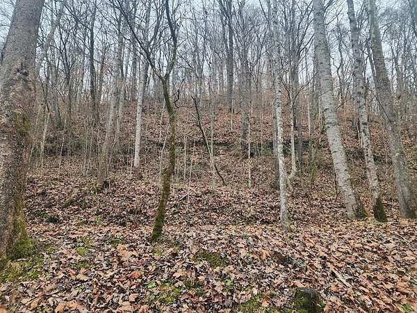 12 Acres of Land for Sale in Prestonsburg, Kentucky