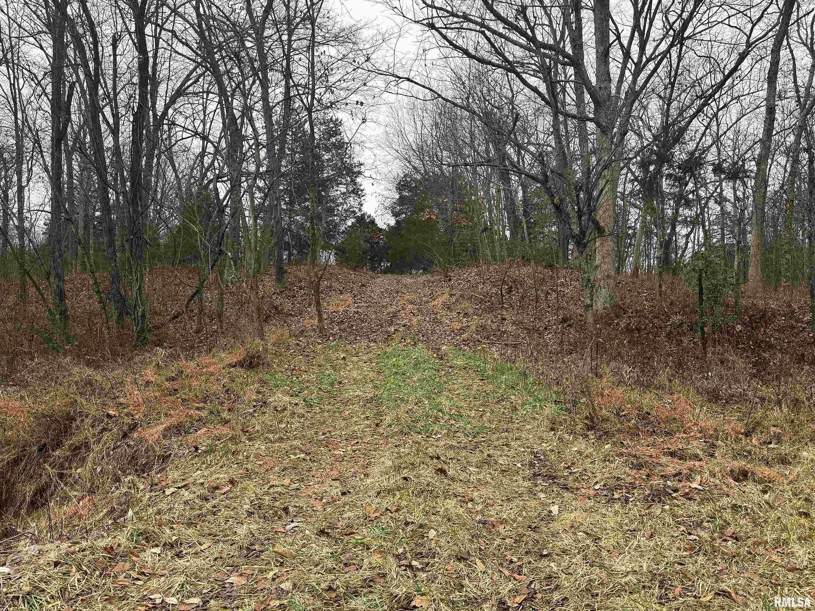 2.89 Acres of Residential Land for Sale in Mount Vernon, Illinois