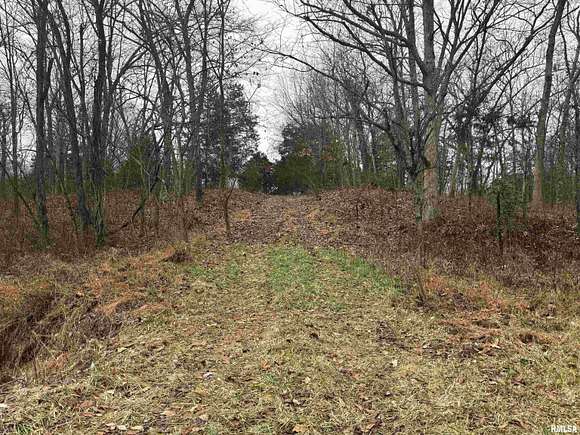 2.89 Acres of Residential Land for Sale in Mount Vernon, Illinois