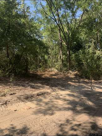 0.34 Acres of Residential Land for Sale in Overton, Texas