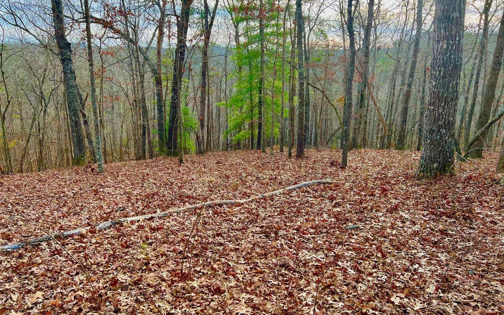 1.4 Acres of Residential Land for Sale in Ellijay, Georgia