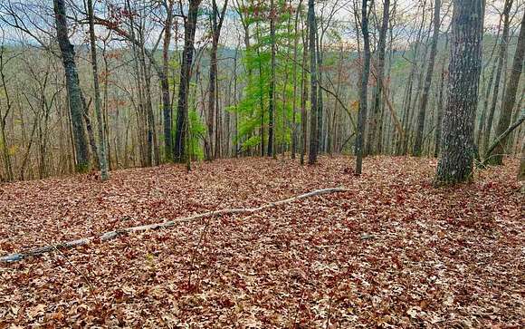 1.41 Acres of Residential Land for Sale in Ellijay, Georgia