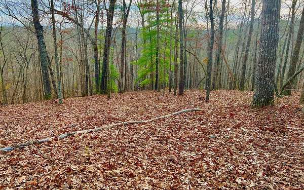1.4 Acres of Residential Land for Sale in Ellijay, Georgia