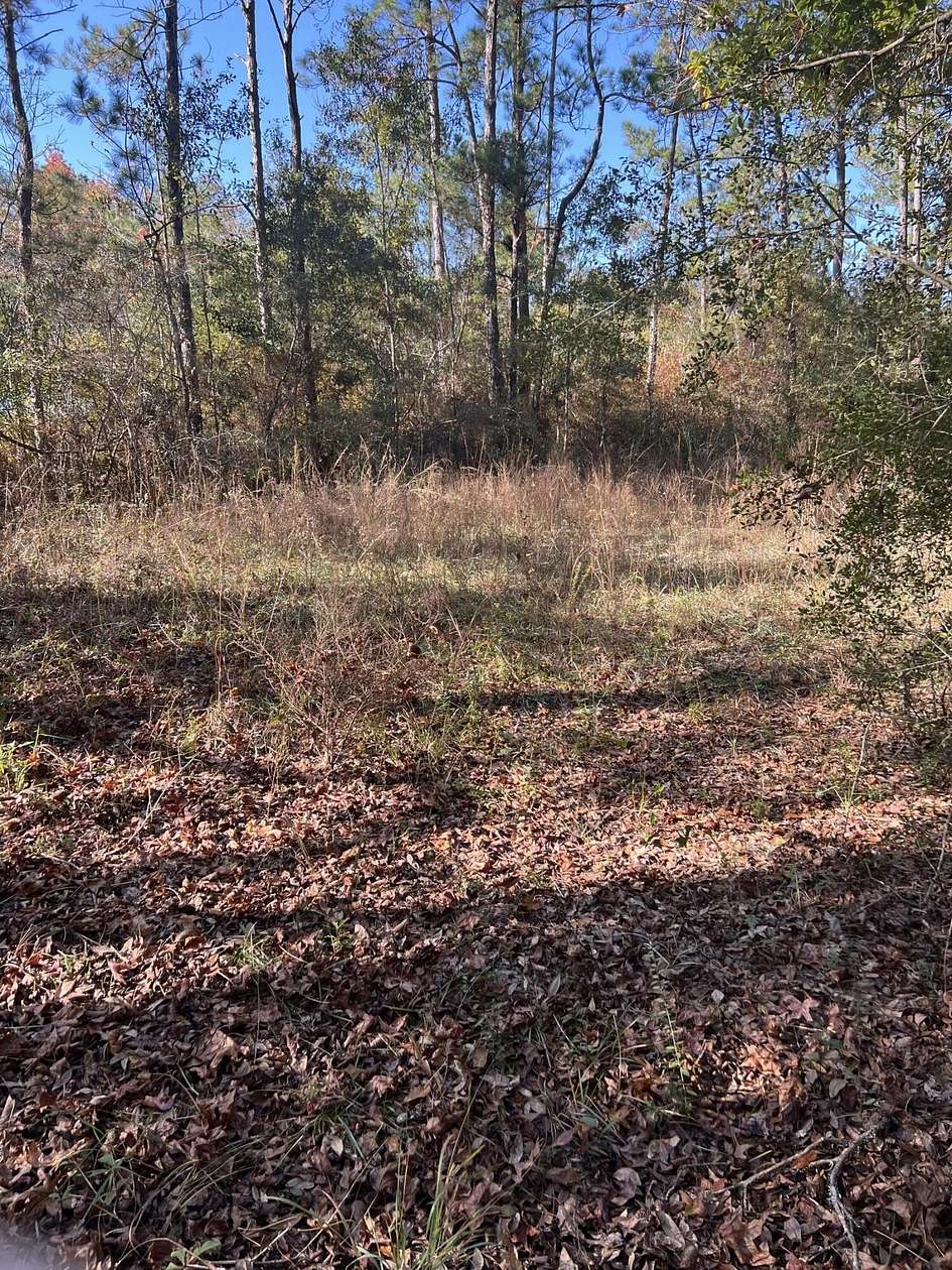 0.86 Acres of Residential Land for Sale in Vernon, Florida