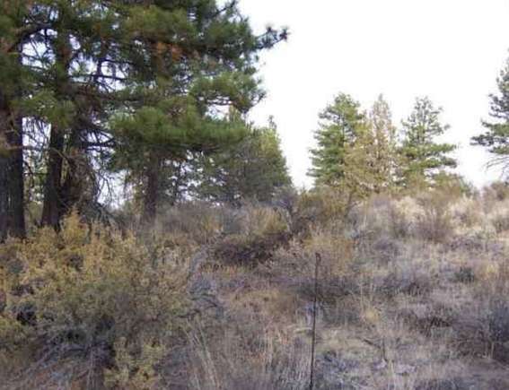 2.54 Acres of Residential Land for Sale in Beatty, Oregon