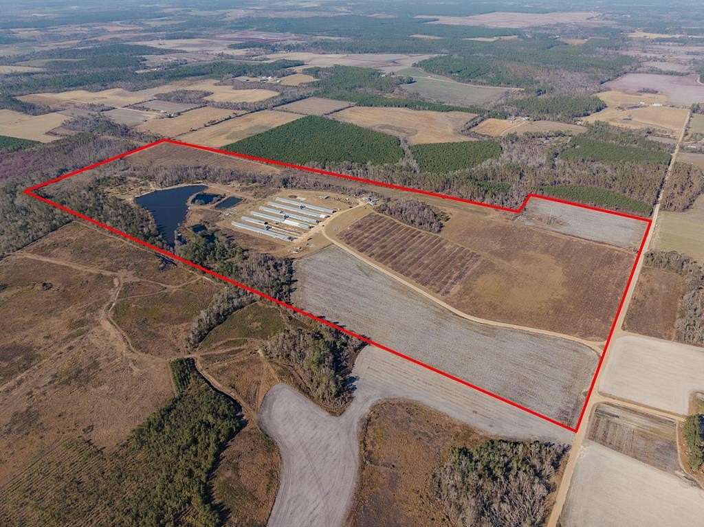 188.6 Acres of Recreational Land & Farm for Sale in Nicholls, Georgia