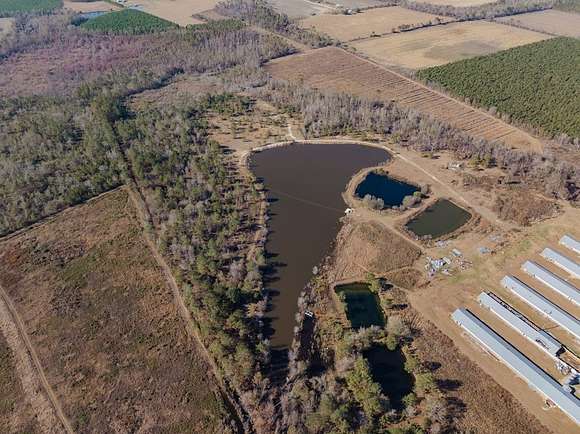 Acres Of Recreational Land Farm For Sale In Nicholls Georgia Landsearch