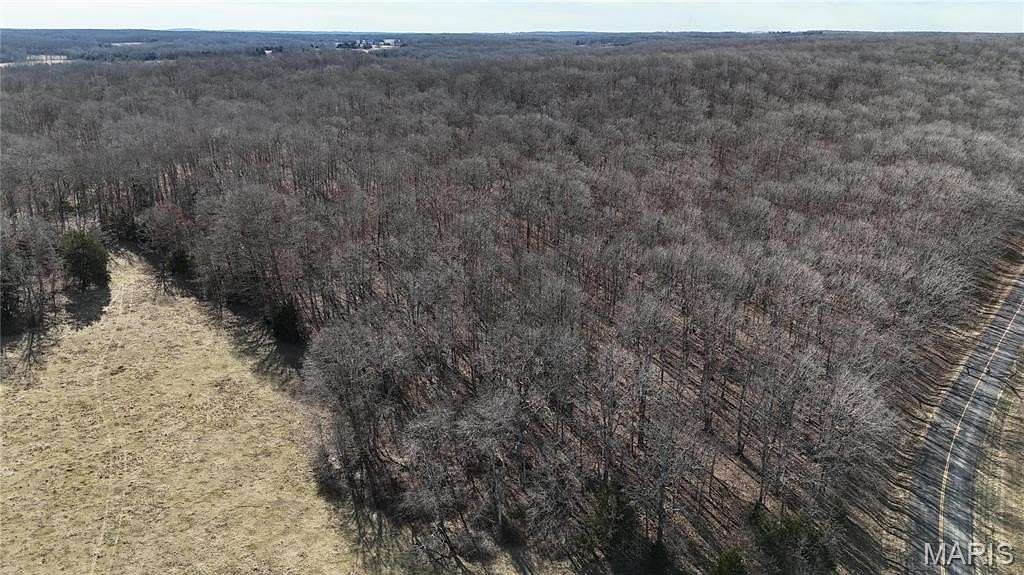 38.8 Acres of Recreational Land for Sale in Salem, Missouri