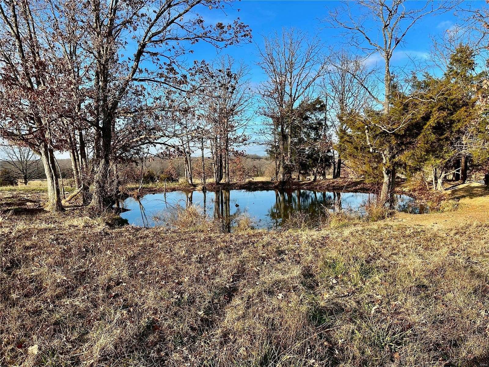 30 Acres of Recreational Land & Farm for Sale in Salem, Missouri