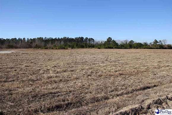 10 Acres of Land for Sale in Lamar, South Carolina