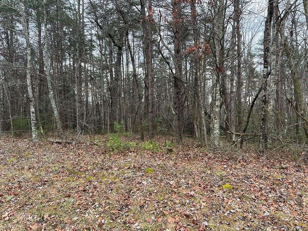 4 Acres of Residential Land for Sale in Monterey, Tennessee