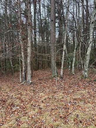 4 Acres of Residential Land for Sale in Monterey, Tennessee