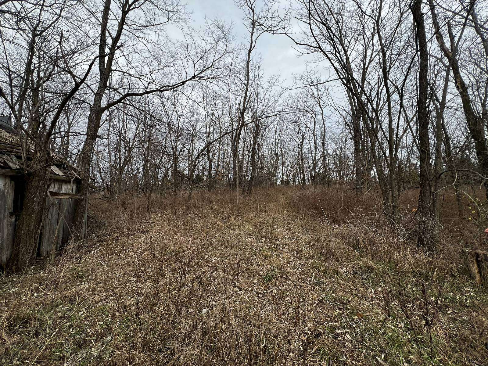 13 Acres of Recreational Land for Sale in Albany, Missouri
