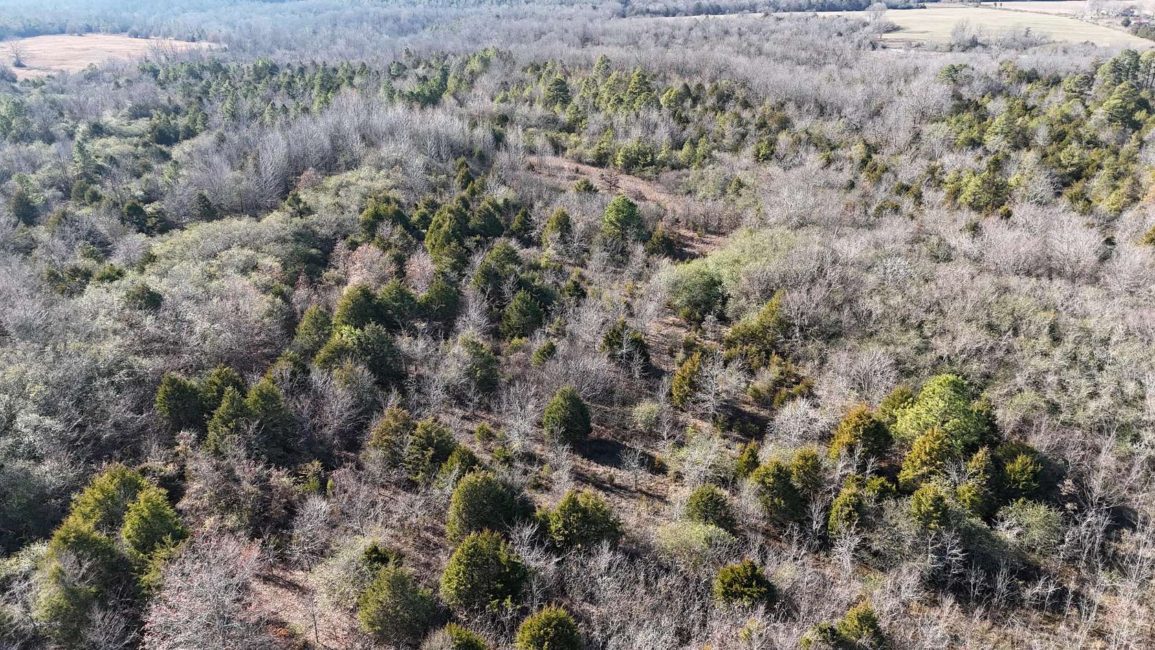 23.86 Acres of Land for Sale in Cleveland, Arkansas