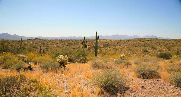 10 Acres of Land for Sale in Fort McDowell, Arizona
