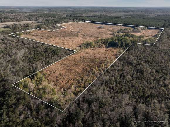 84 Acres of Recreational Land & Farm for Sale in Columbia, Mississippi