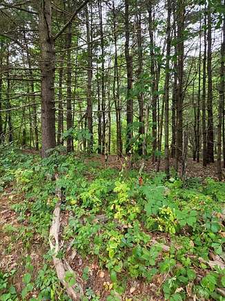 1.38 Acres of Residential Land for Sale in Charlton, Massachusetts