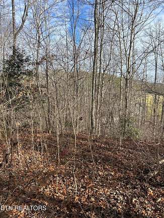 17.6 Acres of Land for Sale in Crossville, Tennessee