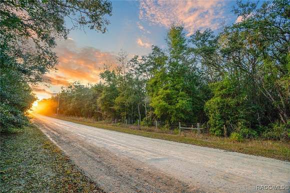 3.17 Acres of Residential Land for Sale in Webster, Florida